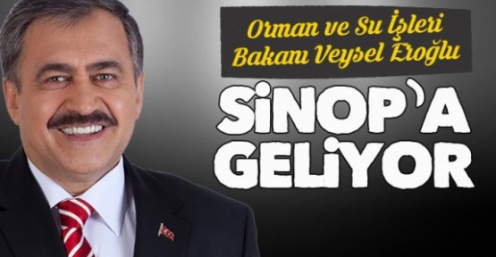 Bakan Eroğlu Sinop'a Geliyor