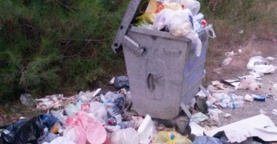 İdemli’de Çöpler Etrafa Saçıldı