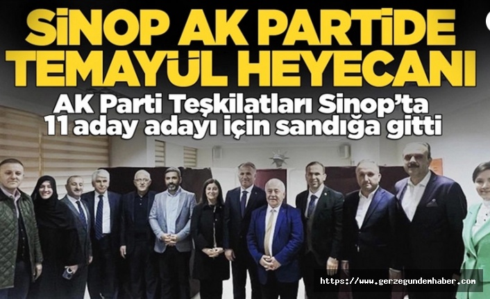 AK Parti Sinop'ta temayül yoklaması yaptı