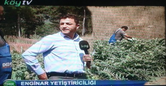 Köy TV Gerze ve Sinop’ta